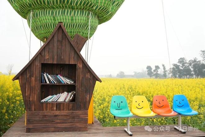 四川崇州：开行春日“赏花巴士”