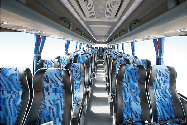 申龙SLK6118L5B客车（柴油国四24-53座）