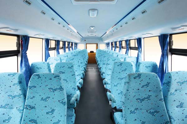 宇通ZK6119DX51中小学生专用校车（柴油国五24-56座）