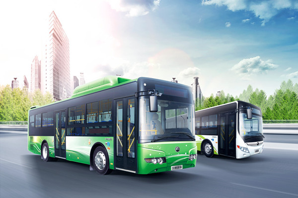 宇通ZK6105HNGS1公交车（天然气国五24-66座）