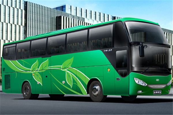 安凯HFF6110K09C1E5B客车（天然气国五24-50座）