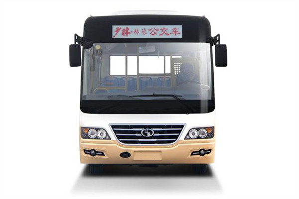 少林SLG6730C5GF公交车（柴油国五10-29座）