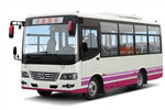 少林SLG6667C5GE公交车（柴油国五11-25座）