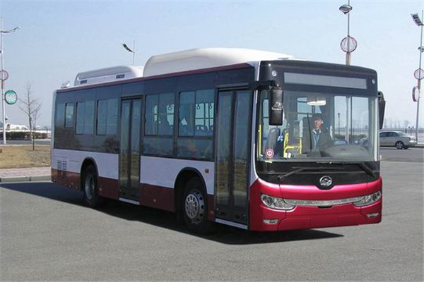 黄海DD6109B23N公交车（天然气国五18-39座）