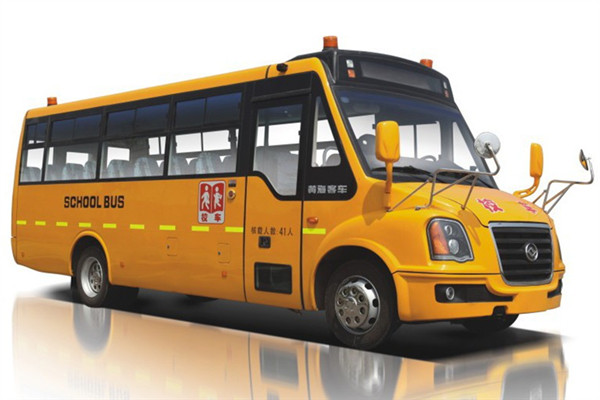 黄海DD6930C02FX小学生专用校车（柴油国四24-51座）