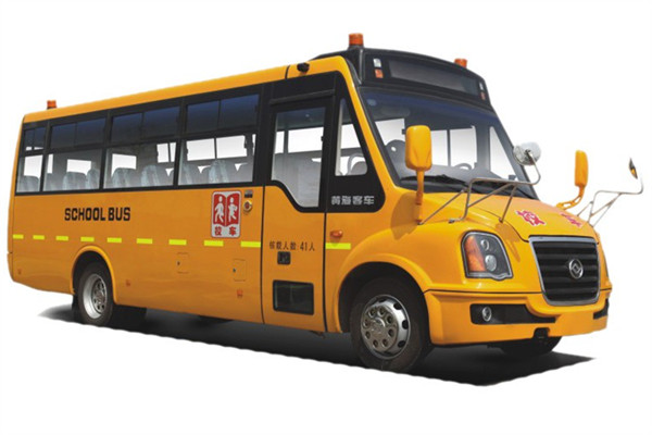 黄海DD6930C01FX中小学生专用校车（柴油国四24-46座）