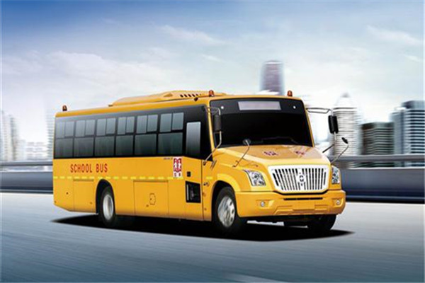 亚星JS6900XCP小学生专用校车（柴油国五24-47座）