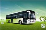亚星JS6127GHBEV公交车（纯电动20-46座）