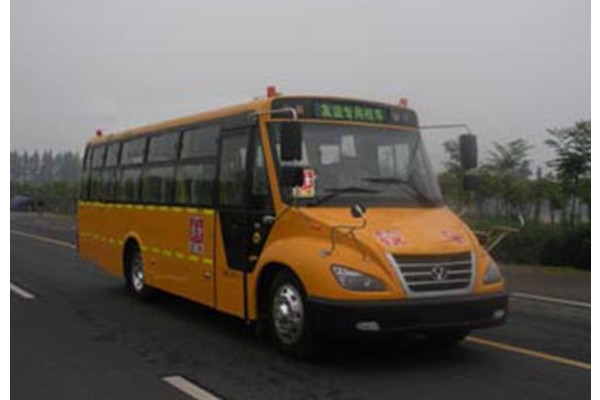 友谊ZGT6960DVX小学生专用校车（柴油国五24-56座）