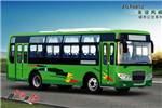 友谊ZGT6852NV公交车（天然气国五18-37座）