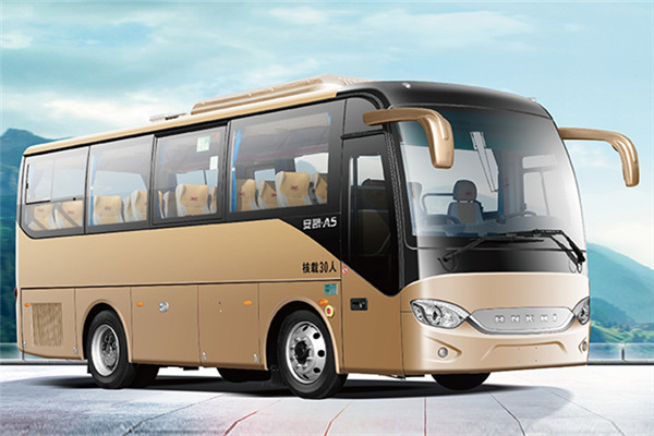 安凯HFF6781KD1E5B1客车（柴油国五10-23座）