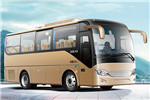 安凯HFF6781KD1E5B1客车（柴油国五10-23座）