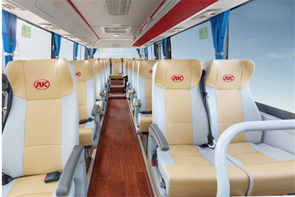 安凯HFF6781KD1E5B1客车（柴油国五10-23座）