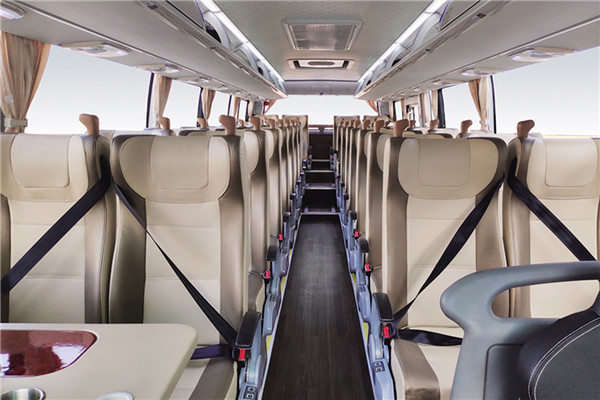 中通LCK6116EVA客车（纯电动24-52座）