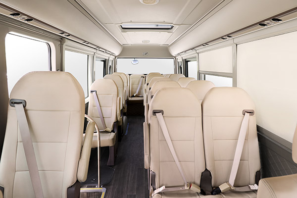 安凯HFF6700N7D6Z客车（柴油国六10-23座）